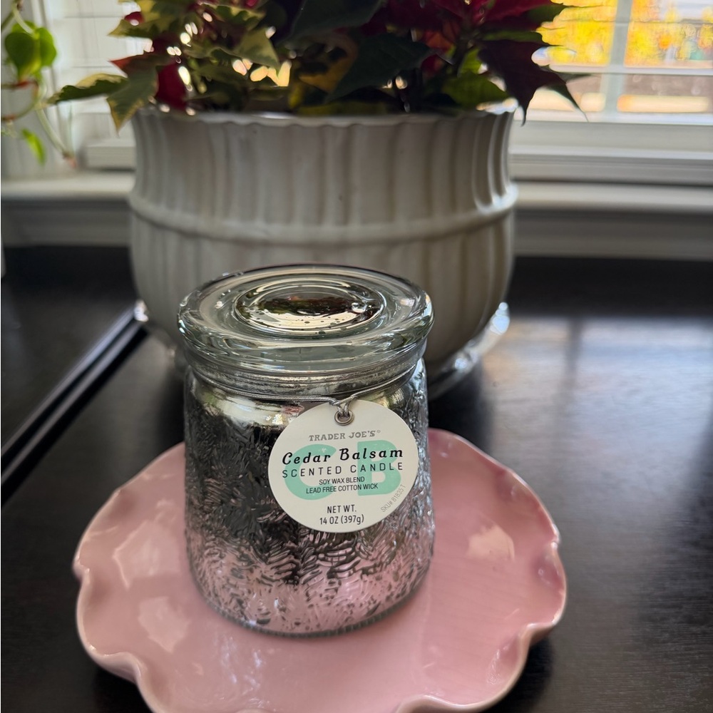 Trader Joe's - Cedar Balsam - Holiday '25 Large Candle 14 oz
